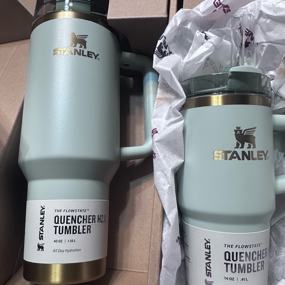Stanley Quencher Tumbler - Light Green
